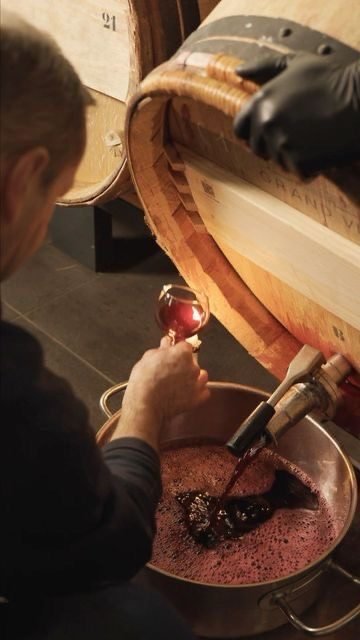 Wine being drawn from the press at harvest