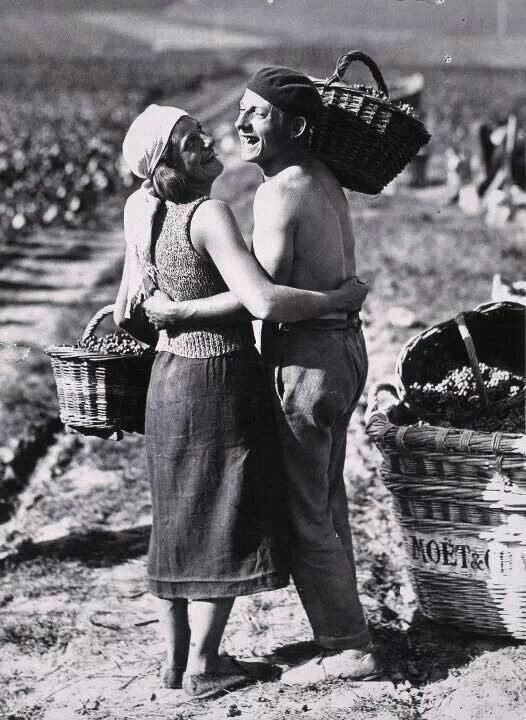 Archival photograph of women in a vineyard at harvest